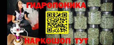 a pvp Мариинск