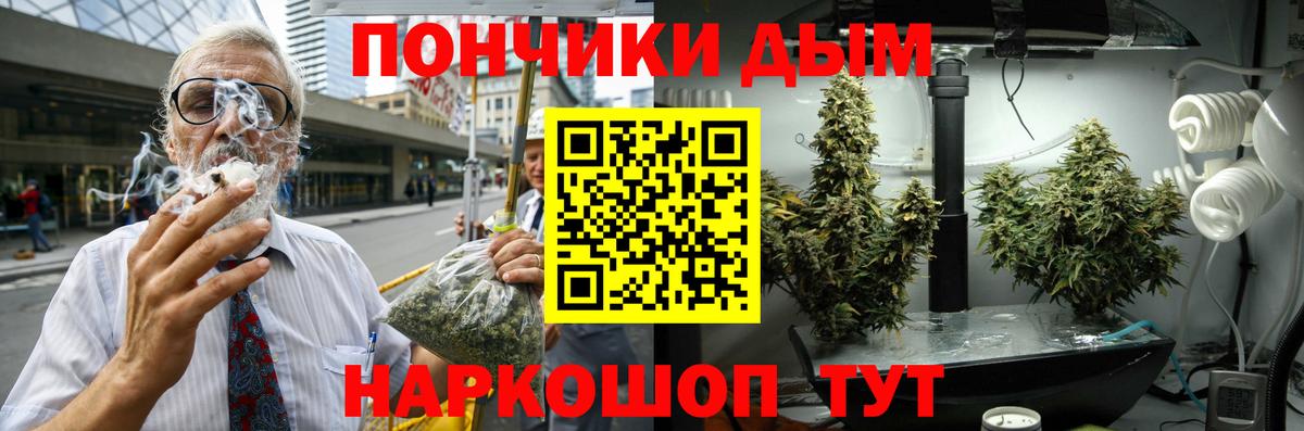 Кувандык  Марихуана сатива  Бошки марихуана гибрид  Канабис гибрид  Вход с VPN 